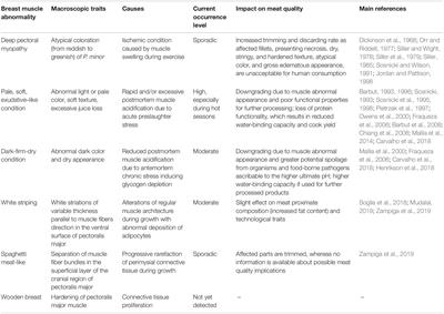 Muscle Abnormalities and Meat Quality Consequences in Modern Turkey Hybrids